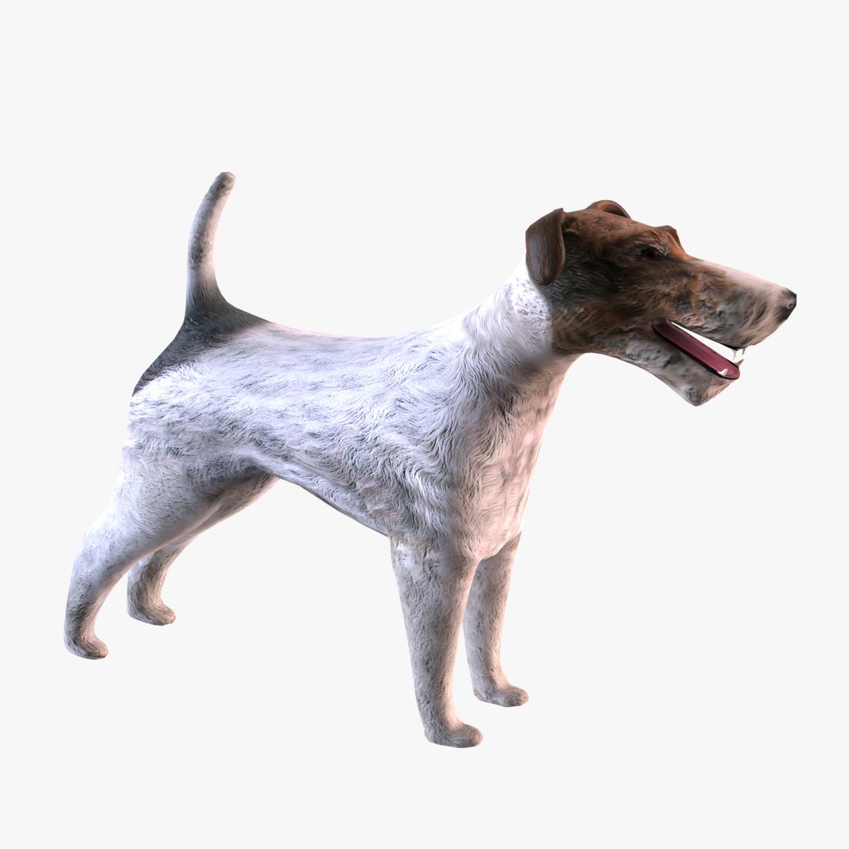 Fox Terrier 3d model