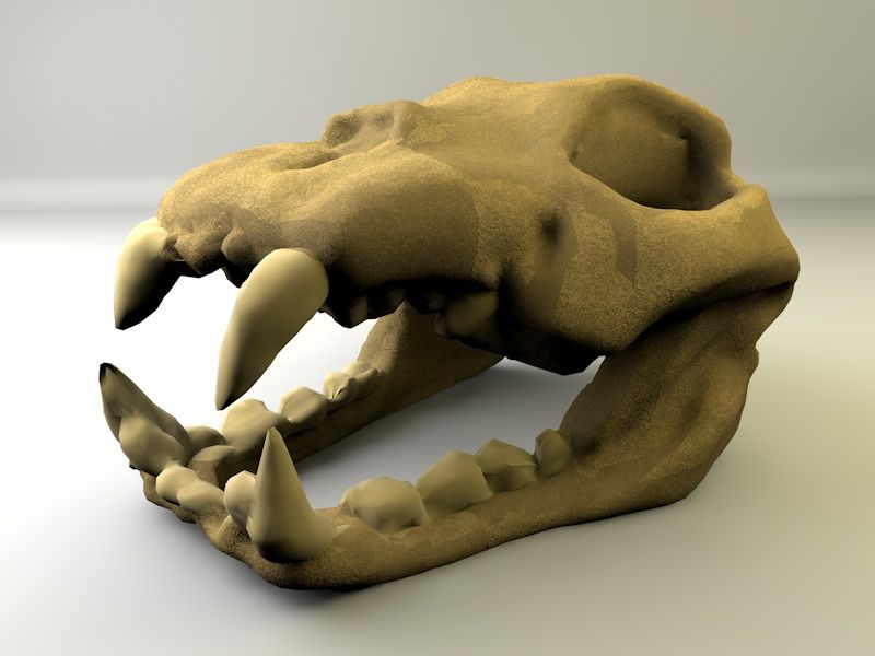 Animal Skull 3d model