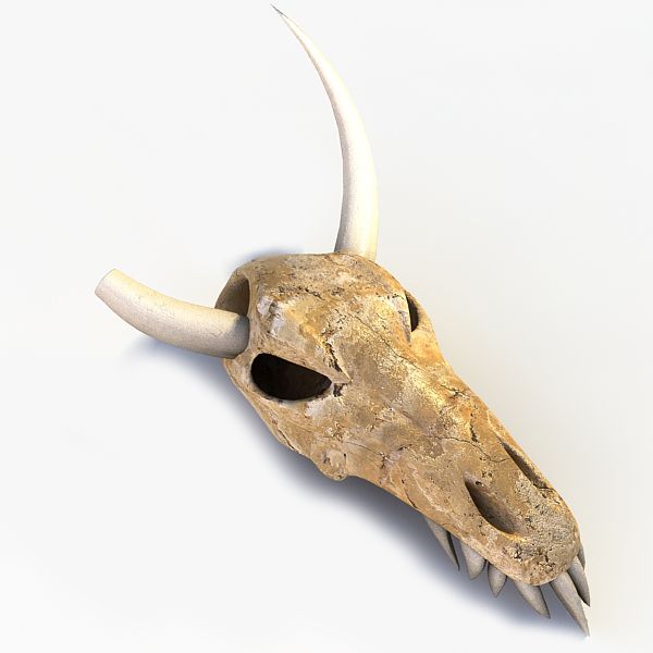 Animal Skull 3d model