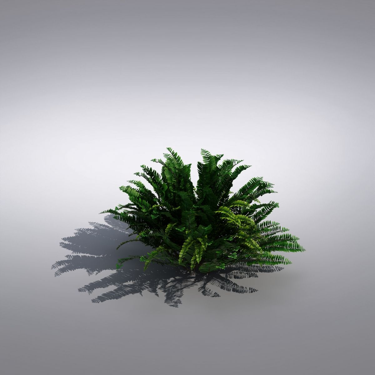 Bush Plant 3d model