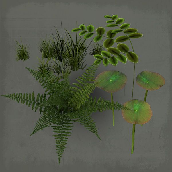 Plantas aquáticas 3d model