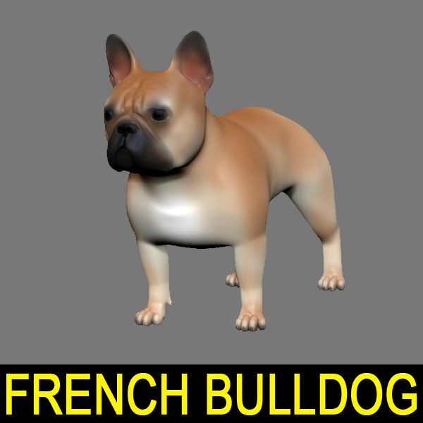 French Bulldog 3d model