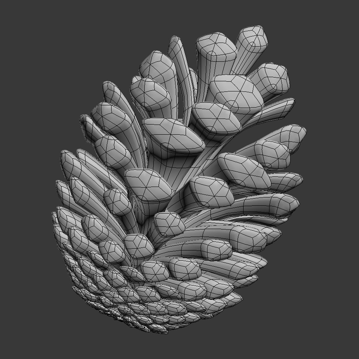 Fir Cone royalty-free 3d model - Preview no. 10