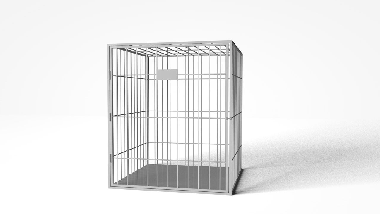 Cage 3d model