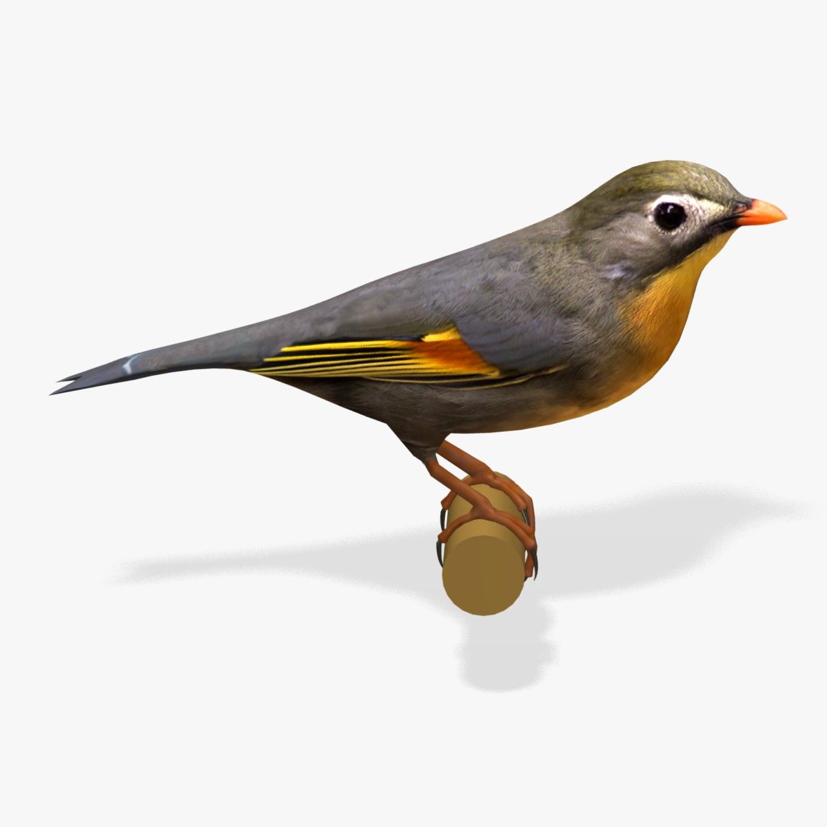 AB Pekin Robin 3d model