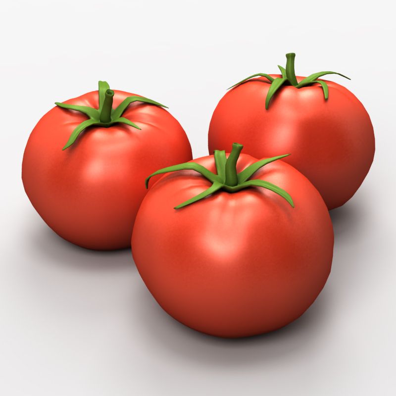 Tomato 3d model