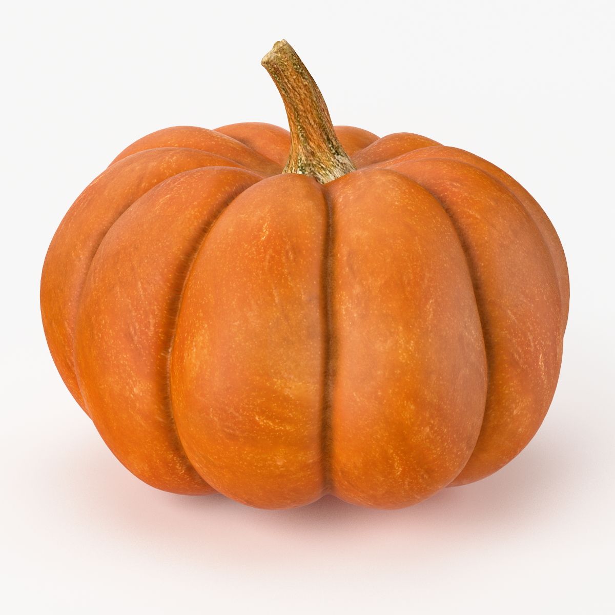 Zucca realistica 3d model