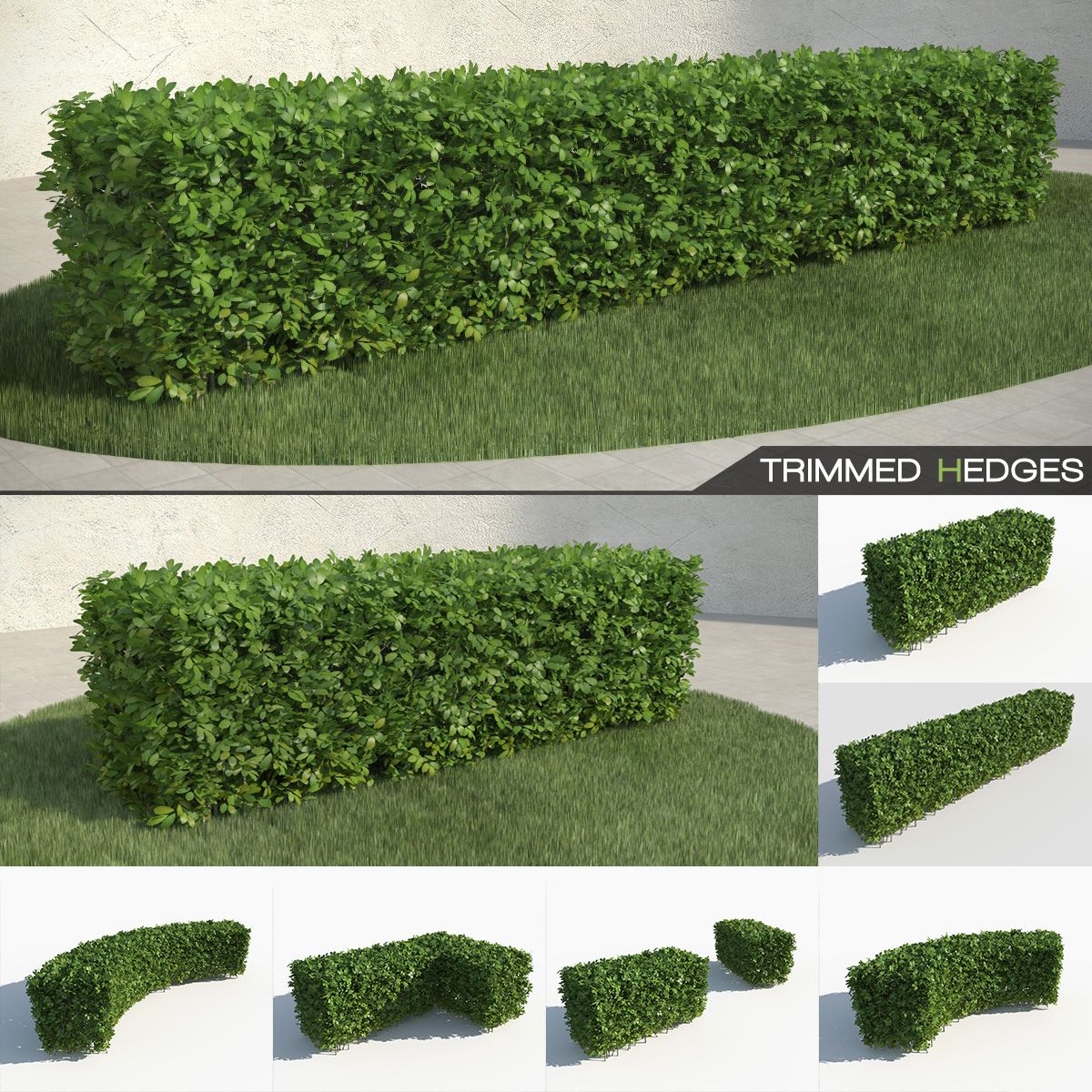 Trimmed Hedges Collection 3d model