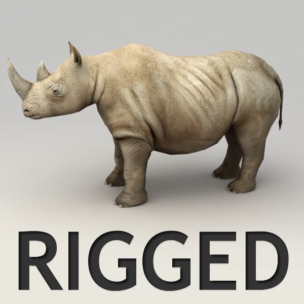 Rhino rigged model 3d model