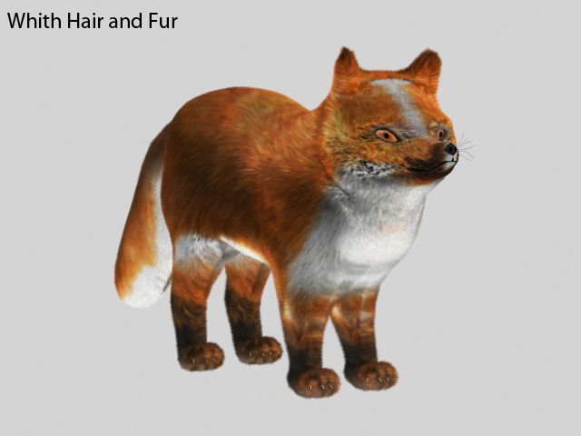 Fox 3d model