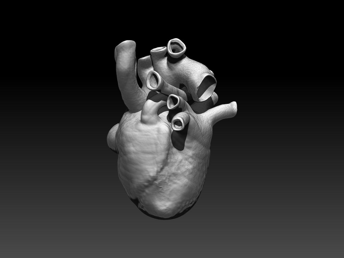 HART 3d model