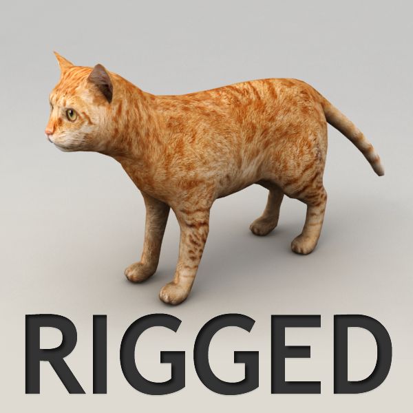 Red cat rigged model 3d model