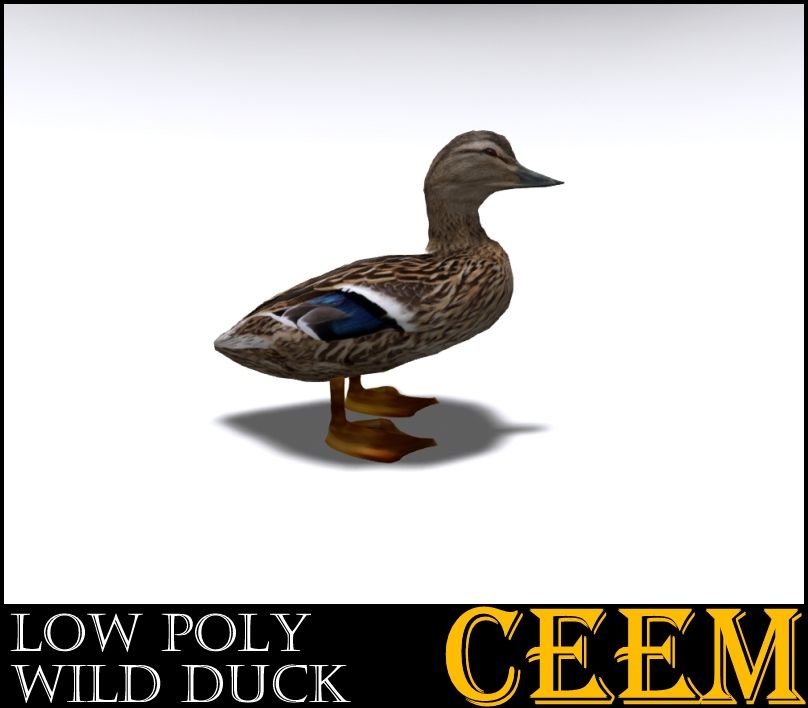 Pato Salvaje Low Poly modelo 3d