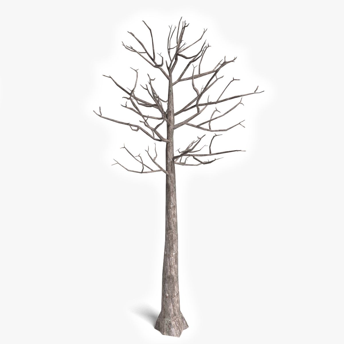 Albero morto 3 3d model