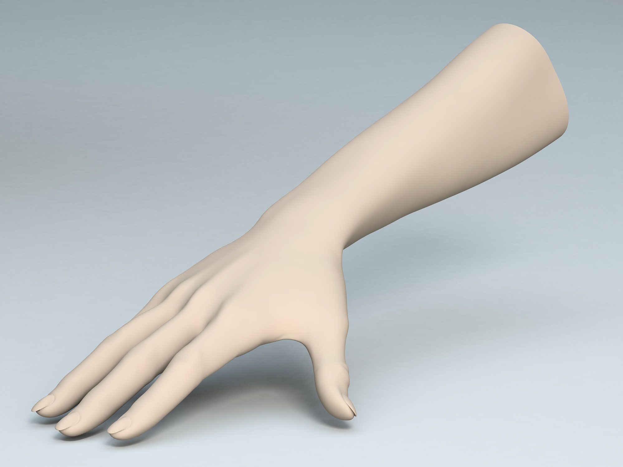 Female Arm A 3d model