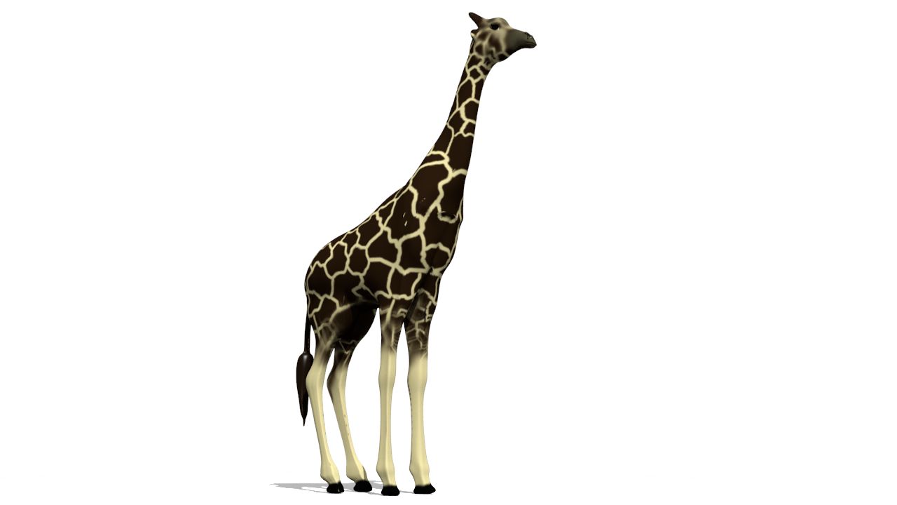 Girafa Lowpoly 3d model