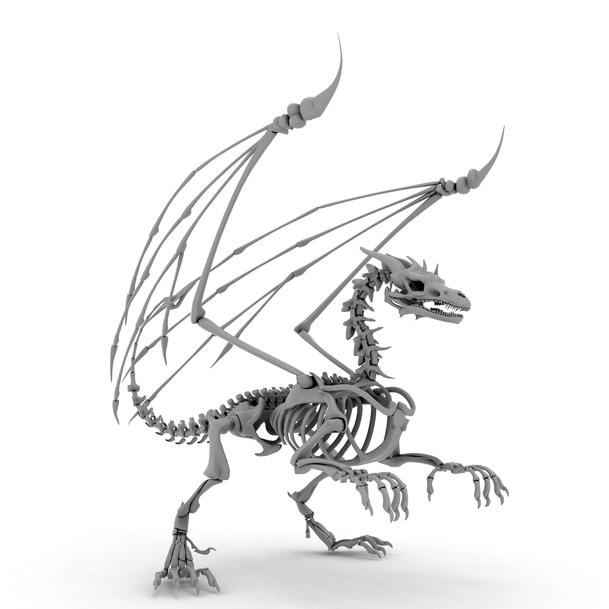 Dragon 3d model