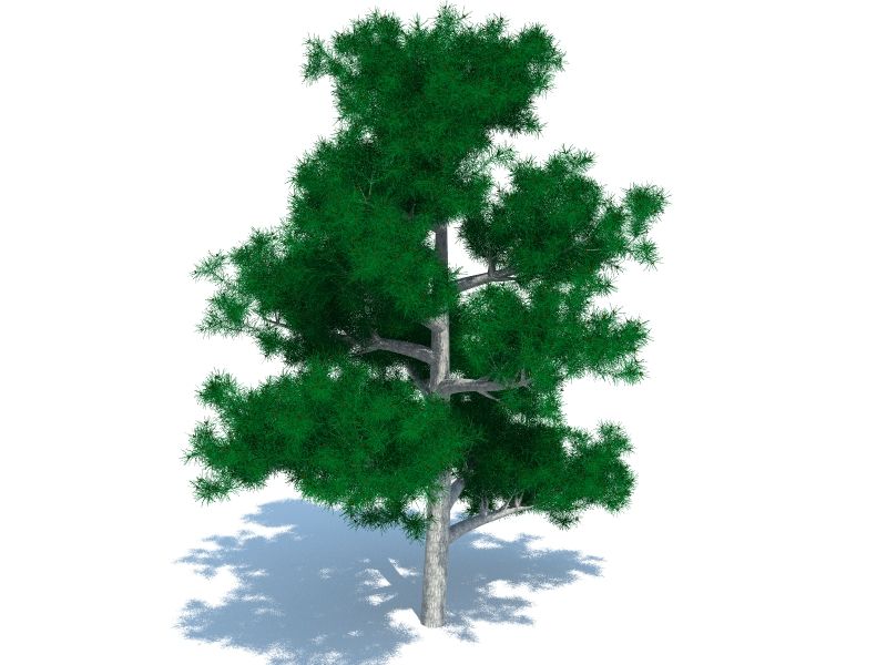 Tree pine 3d model