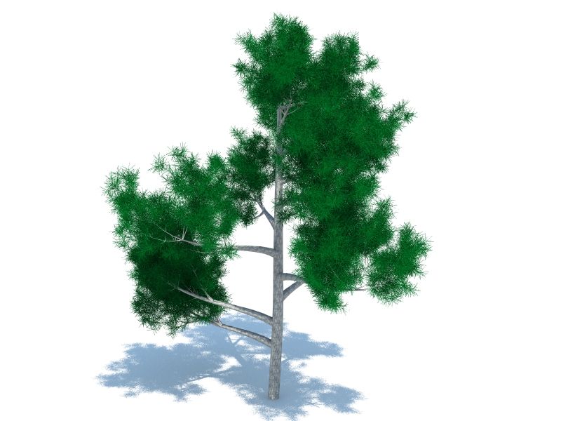 Tree pine 3d model