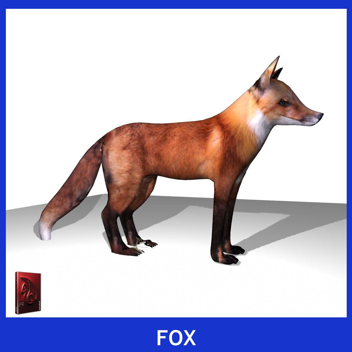 Fuchs 3d model