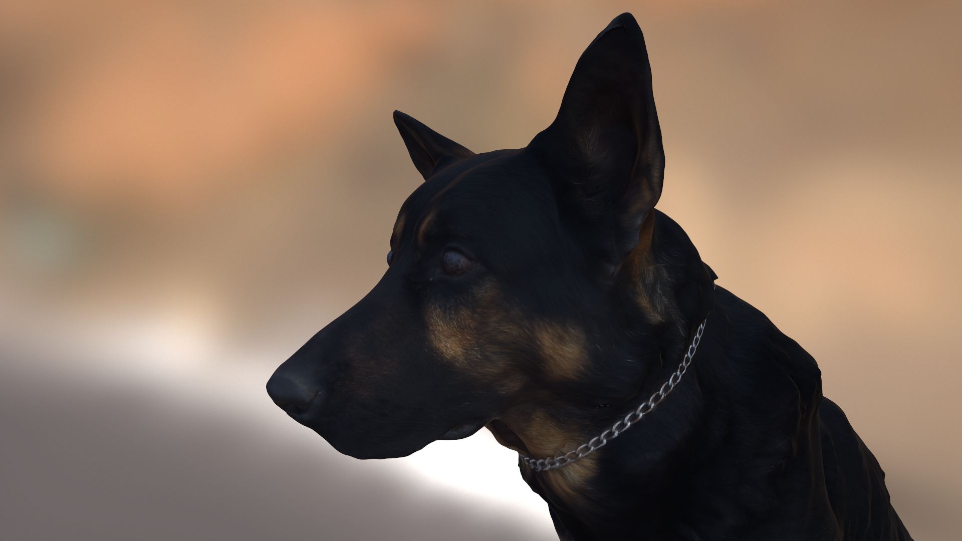 3D skannad hund - Alsatian 3d model