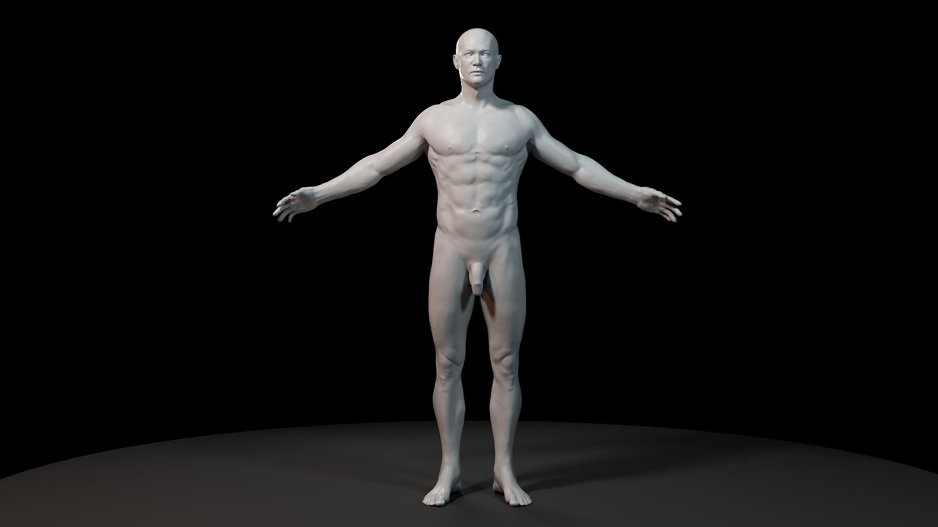 Anatomy model 3d model