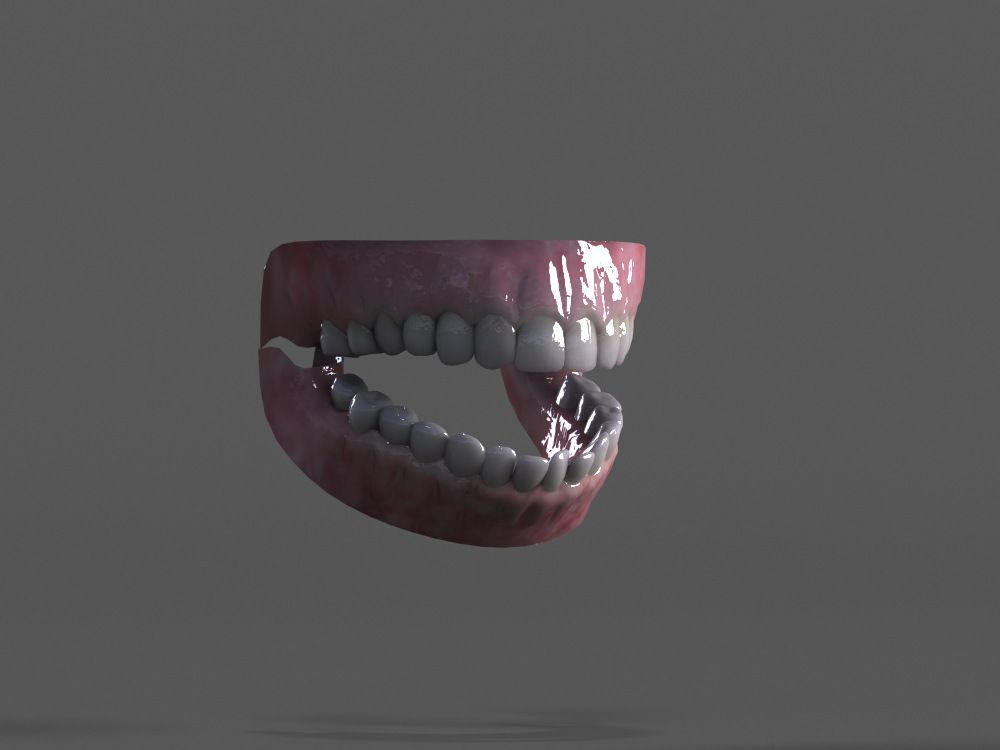 teeth and gums 3d model