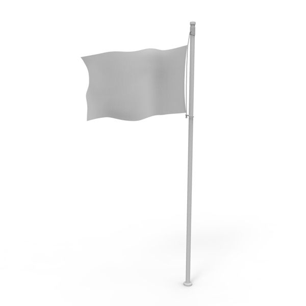 Flag 3d model