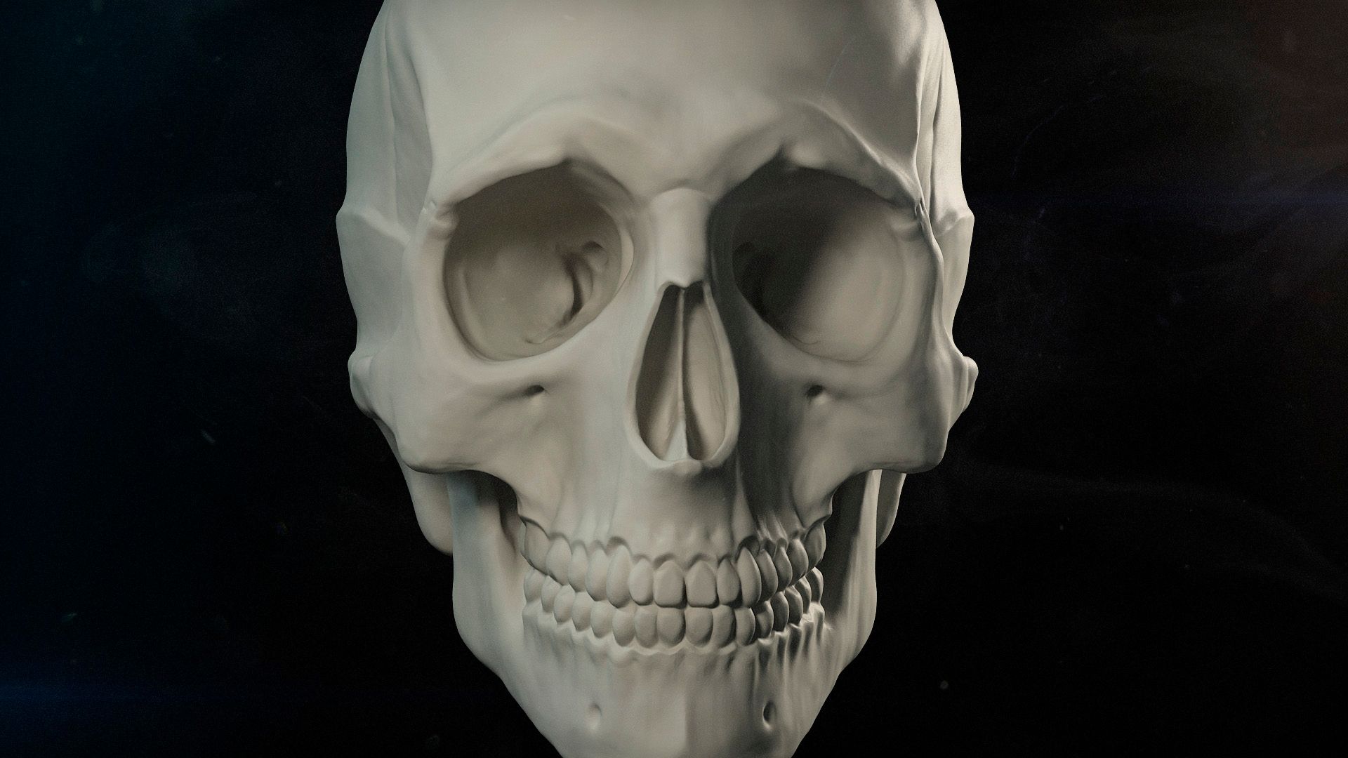 Skull 3d model