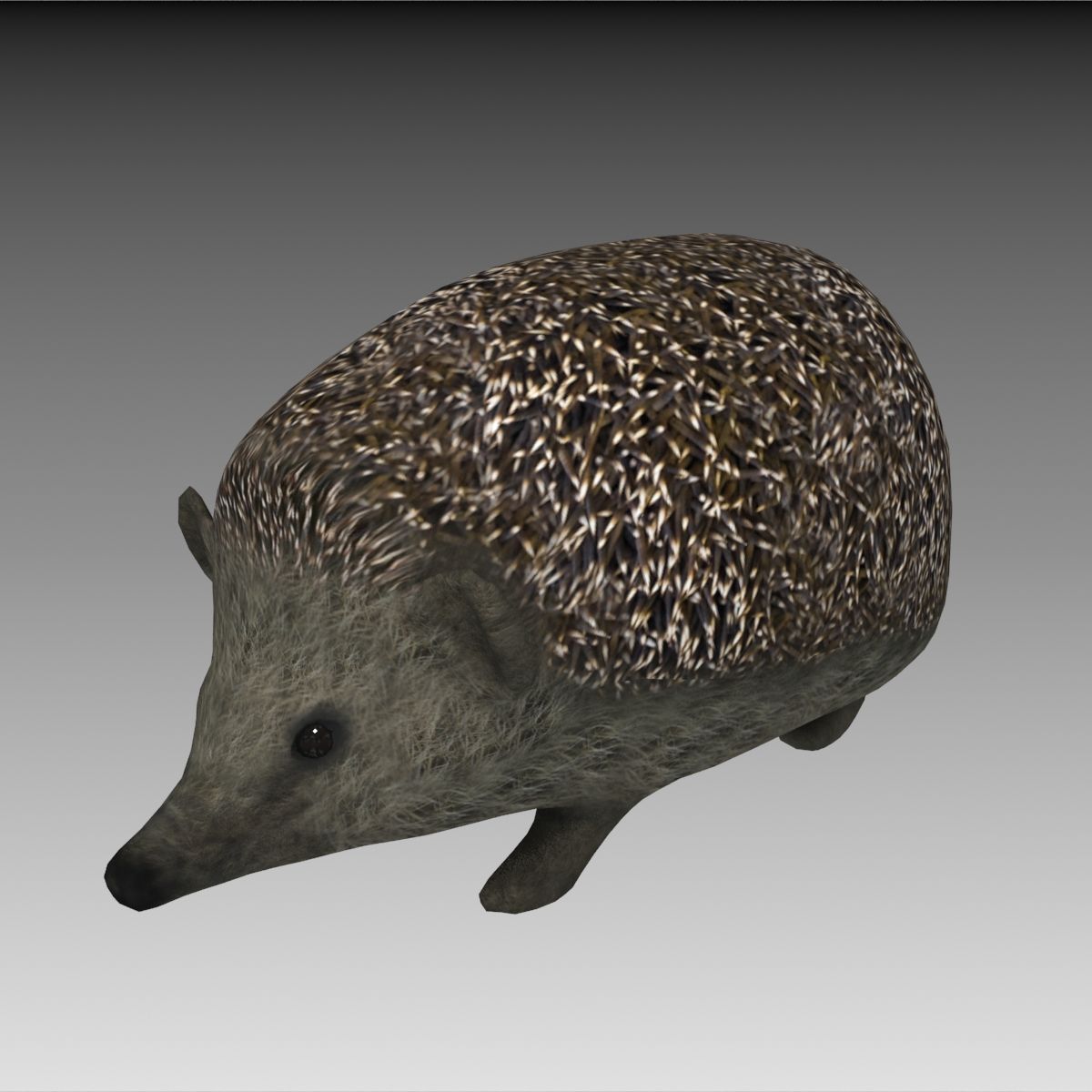 Igel 3d model