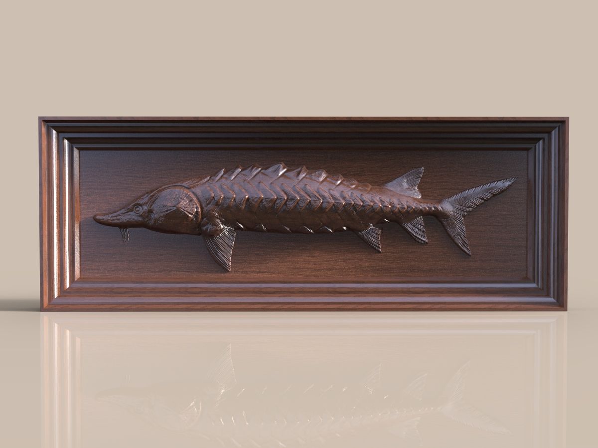 Sturgeon 3d model