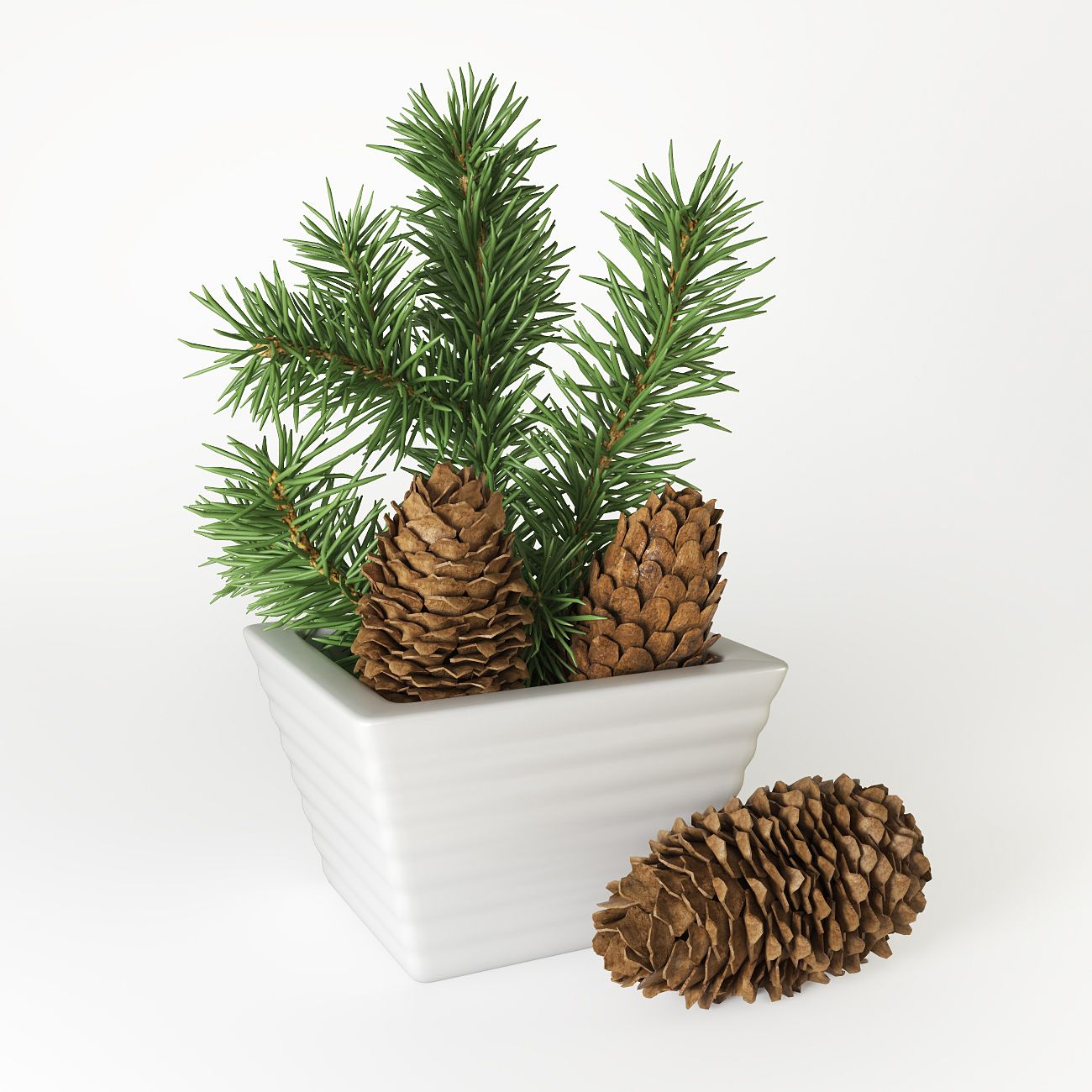 Christmas fir branches and cones 3d model