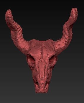 Horned animal skull 3d model