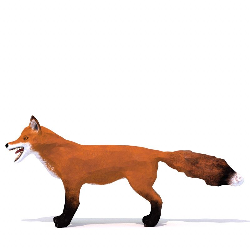 Fuchs 3d model