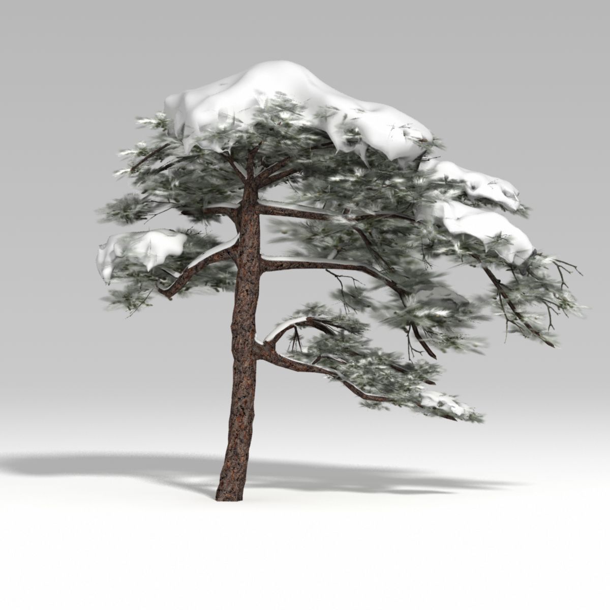 snowtree V1 3d model