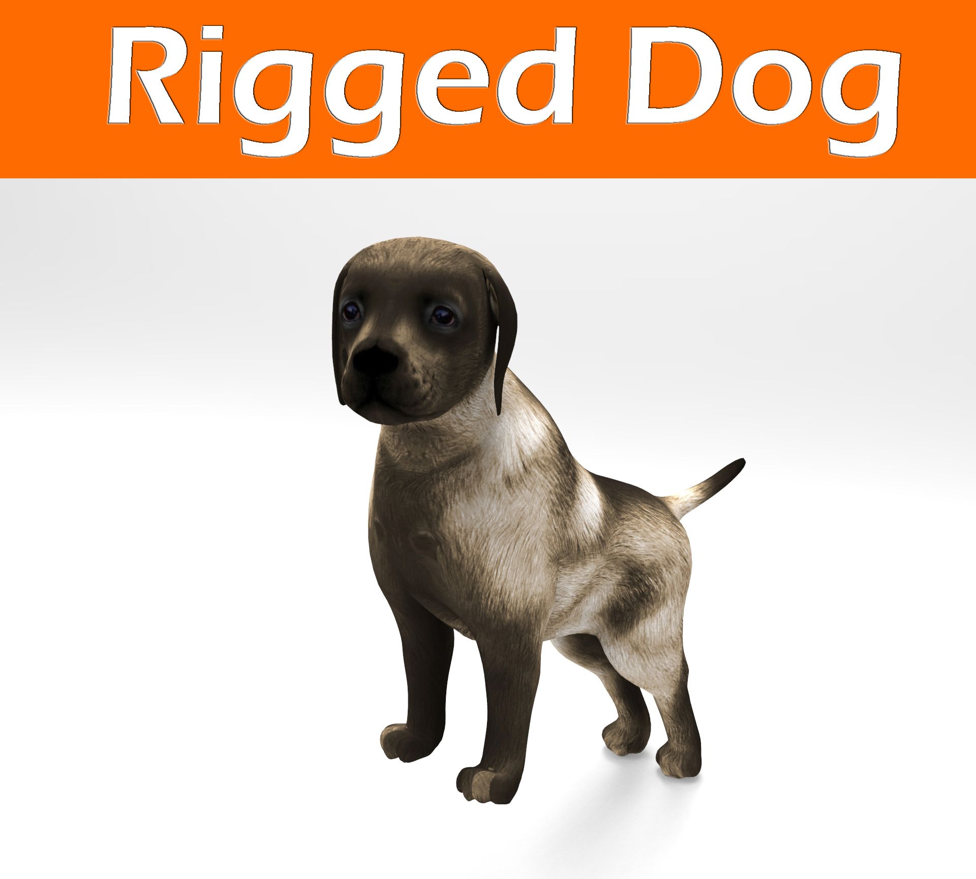 dog rigged(1) 3d model