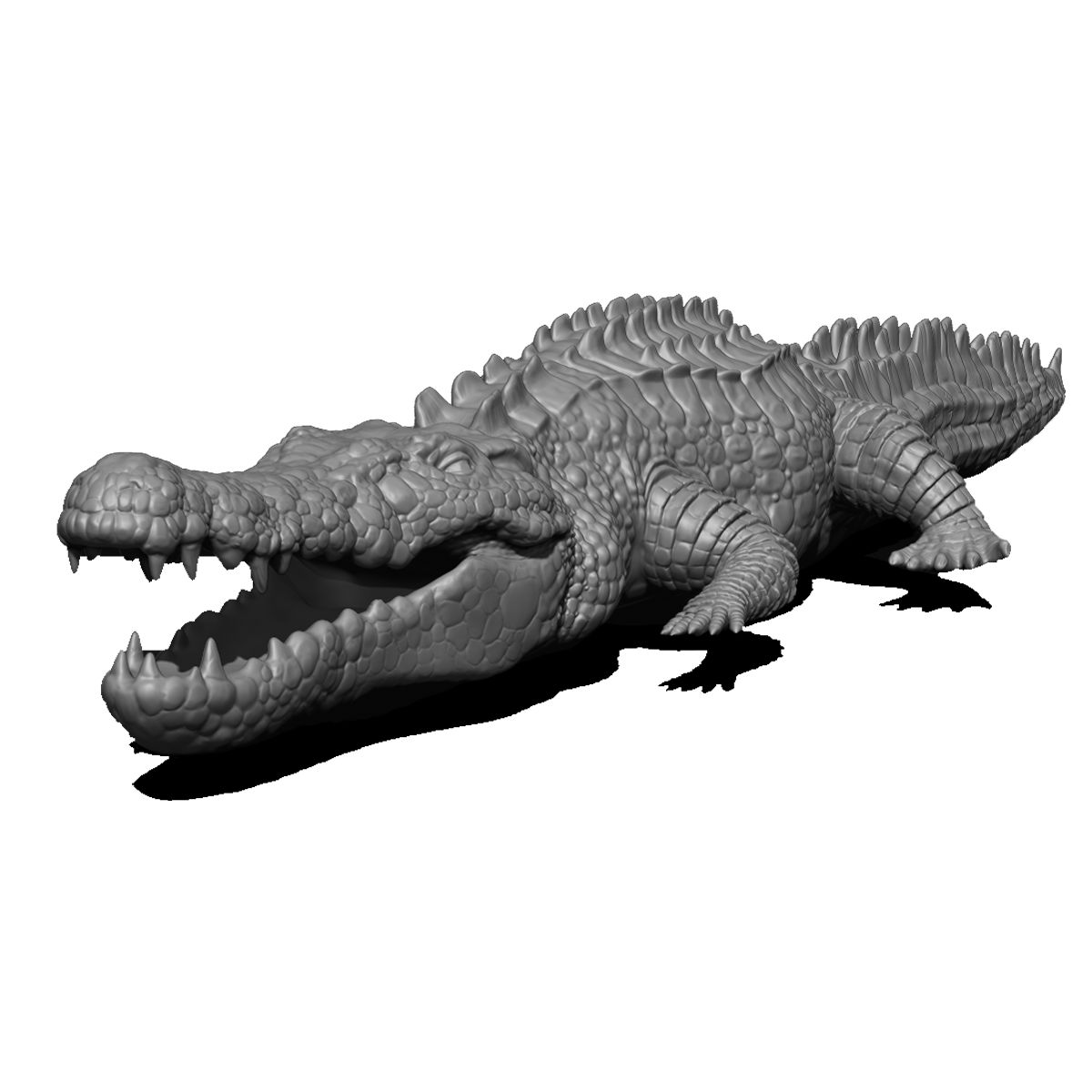 Crocodile 3d model