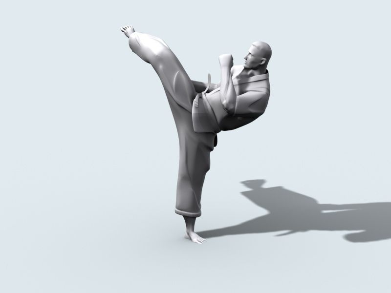 Karate meester 3d model