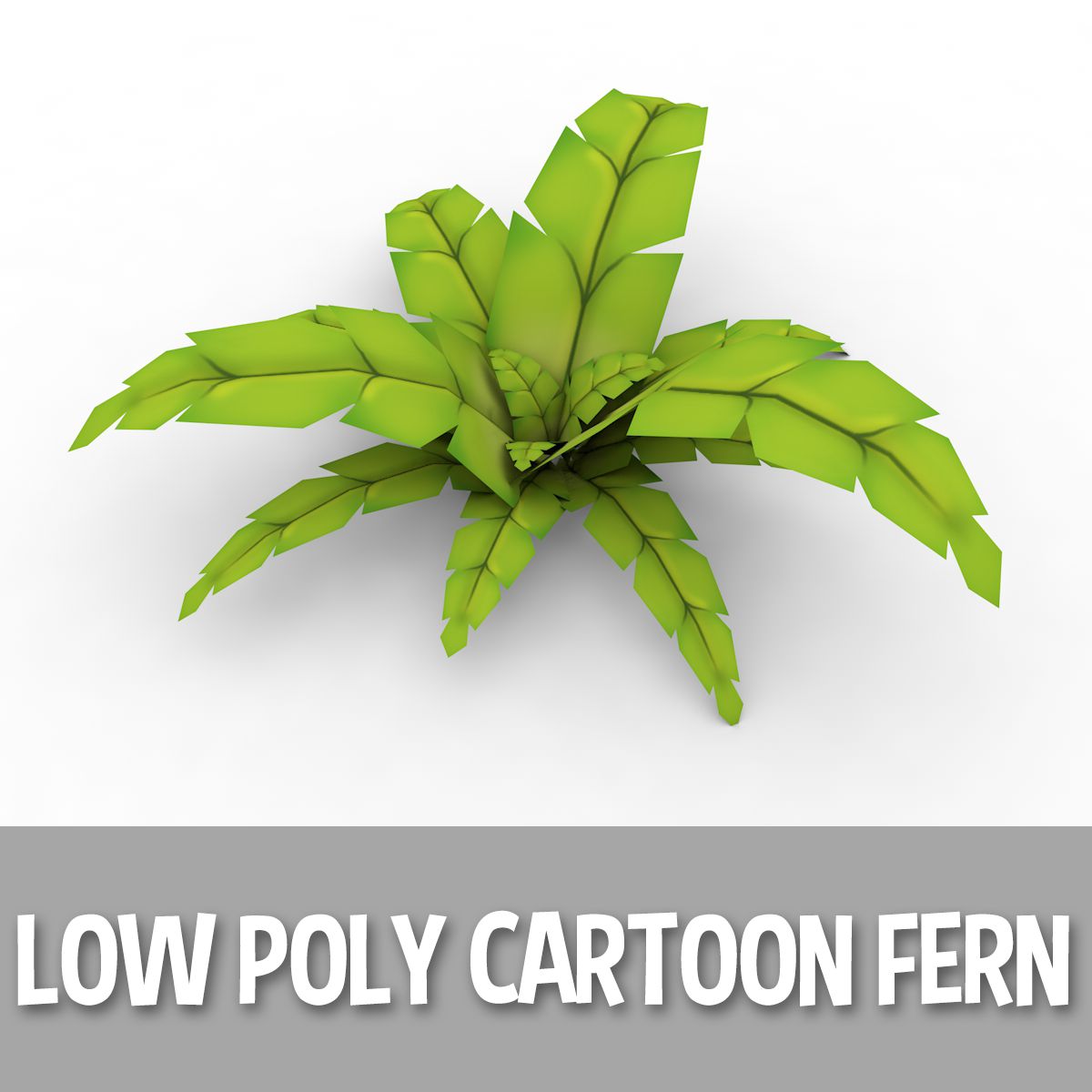 Cartoon Farn (Low Poly) 3d model