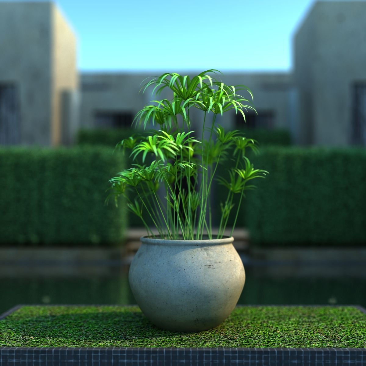 纸莎草纸 3d model