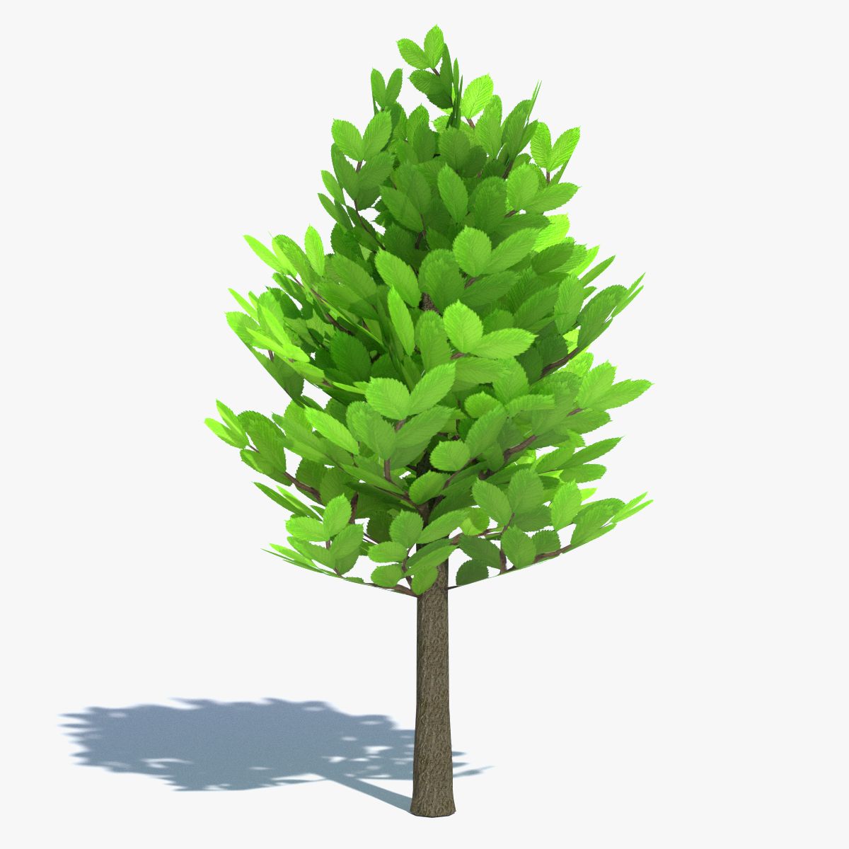 Karikaturbaum klein 3d model