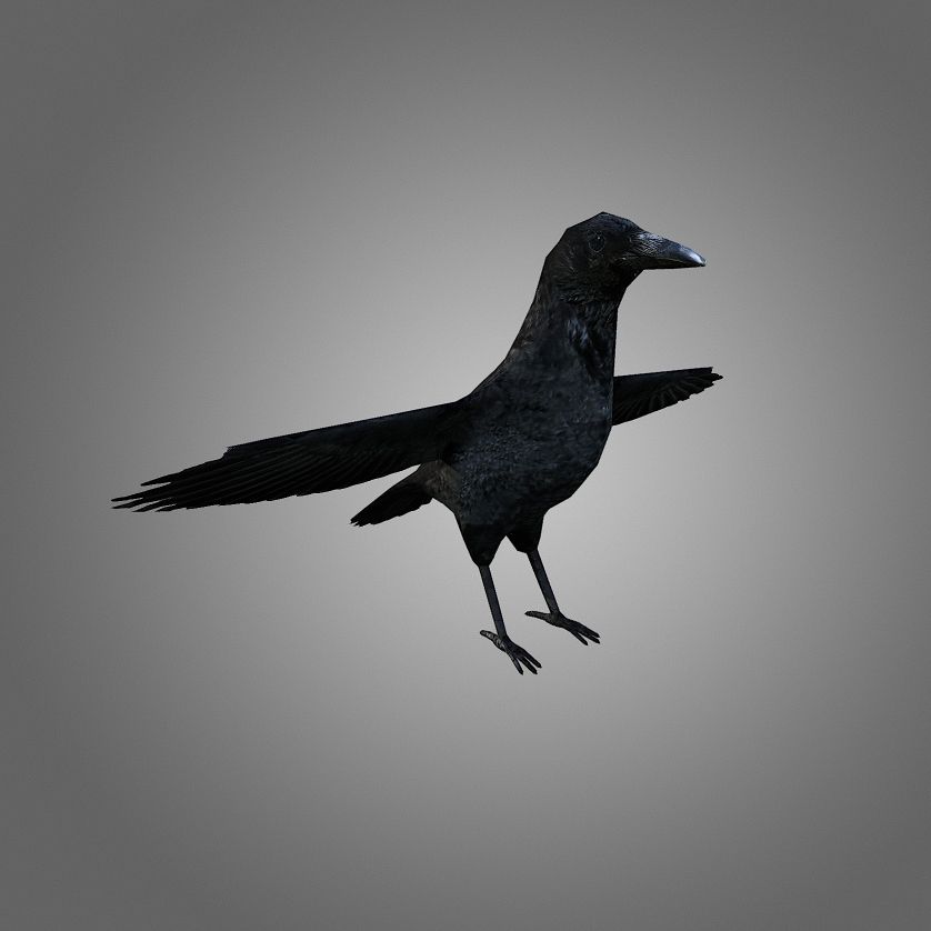 Crow Low-Poly 3d model