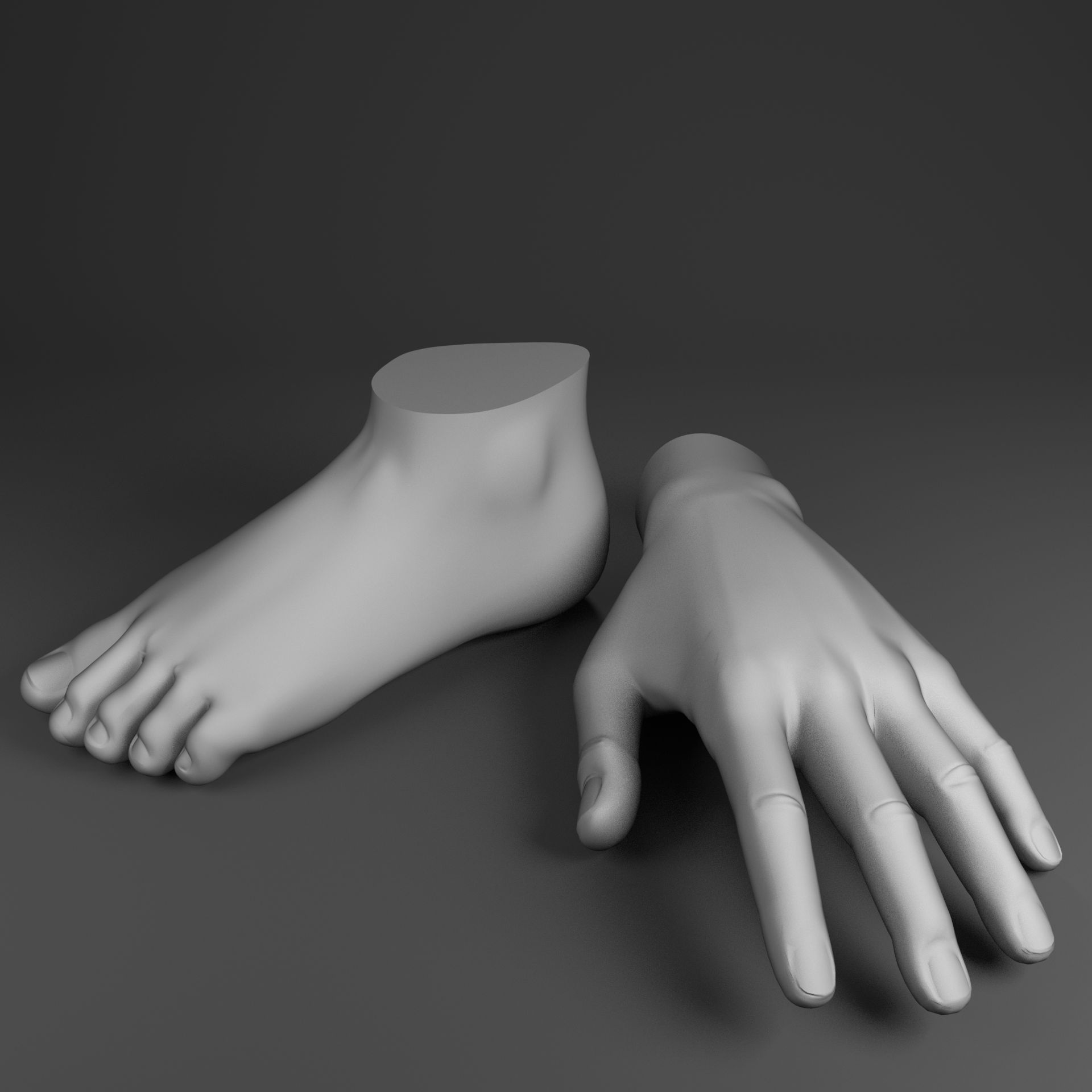 Mano e piede umani 3d model