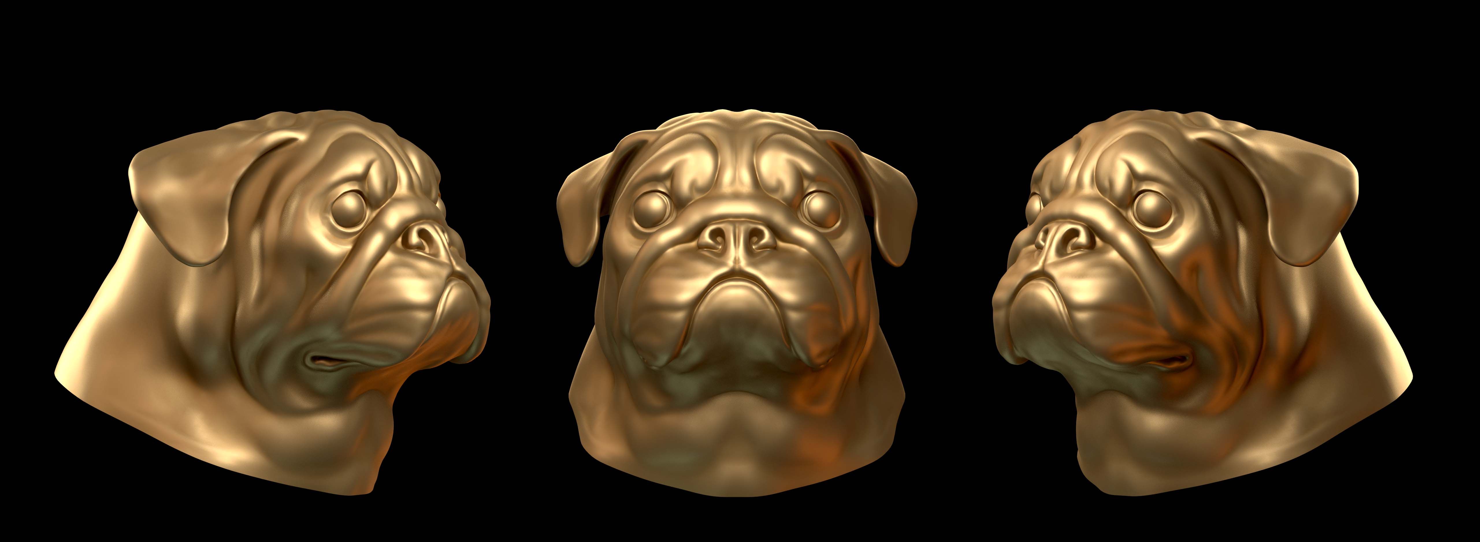 head pug 3d model