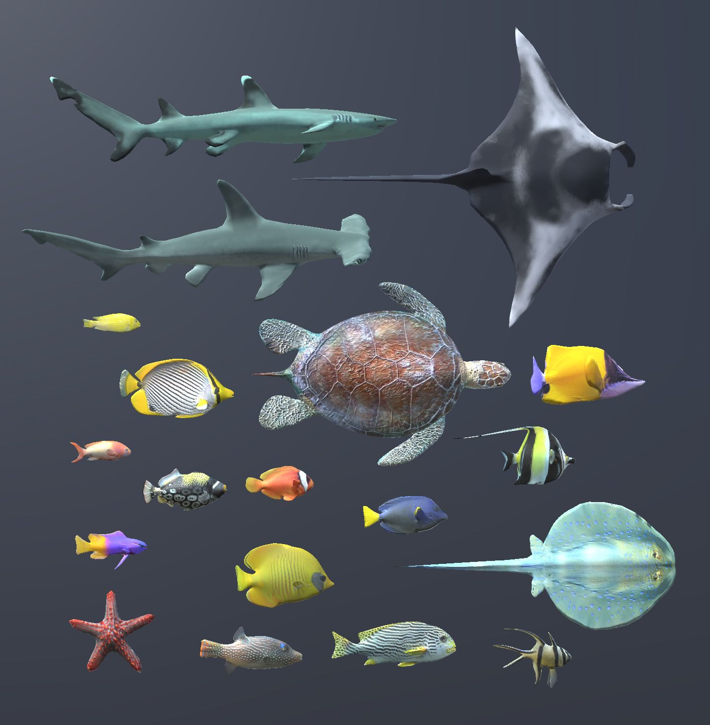 Coral Fish Pack 3d model