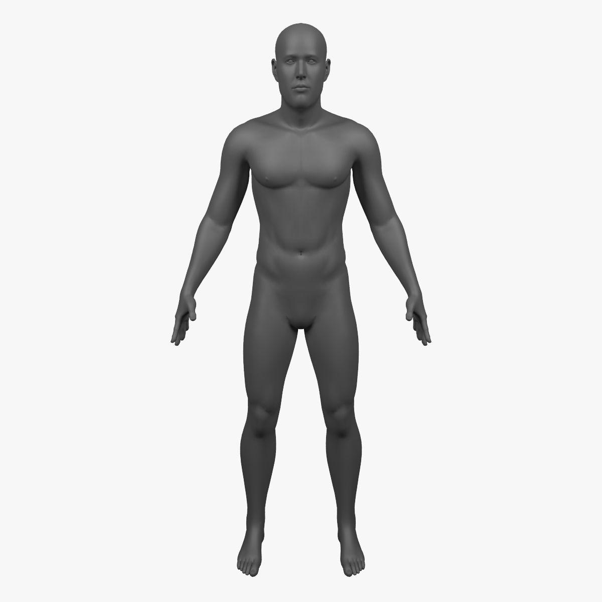 Male Body - Rigged 3d model