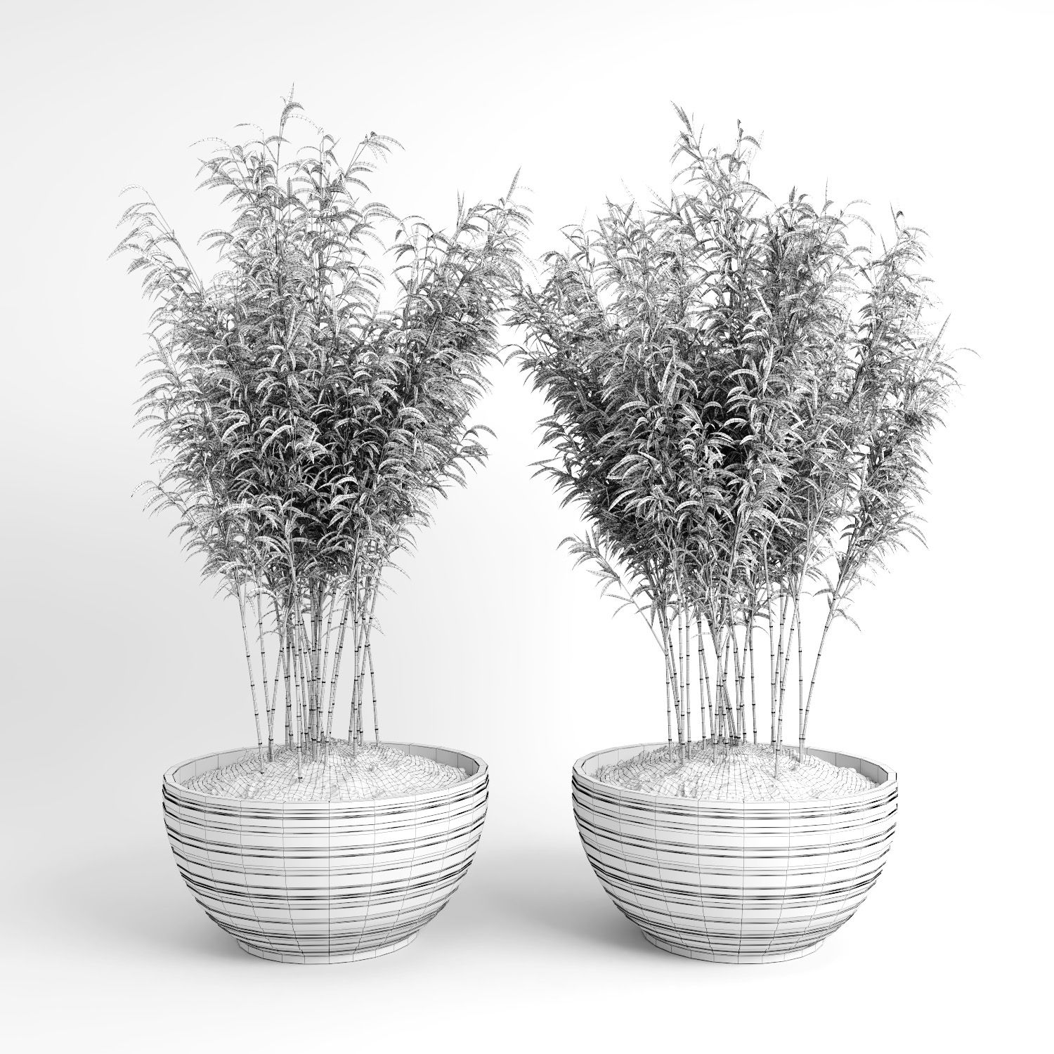 Ombrello Bamboos (+ GrowFX) royalty-free 3d model - Preview no. 19