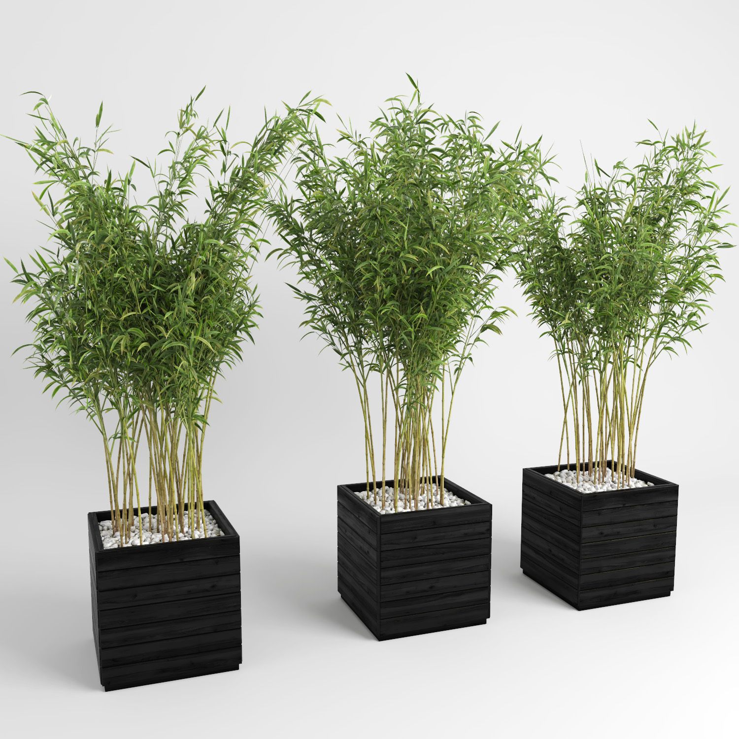 Ombrello Bamboos (+ GrowFX) royalty-free 3d model - Preview no. 6