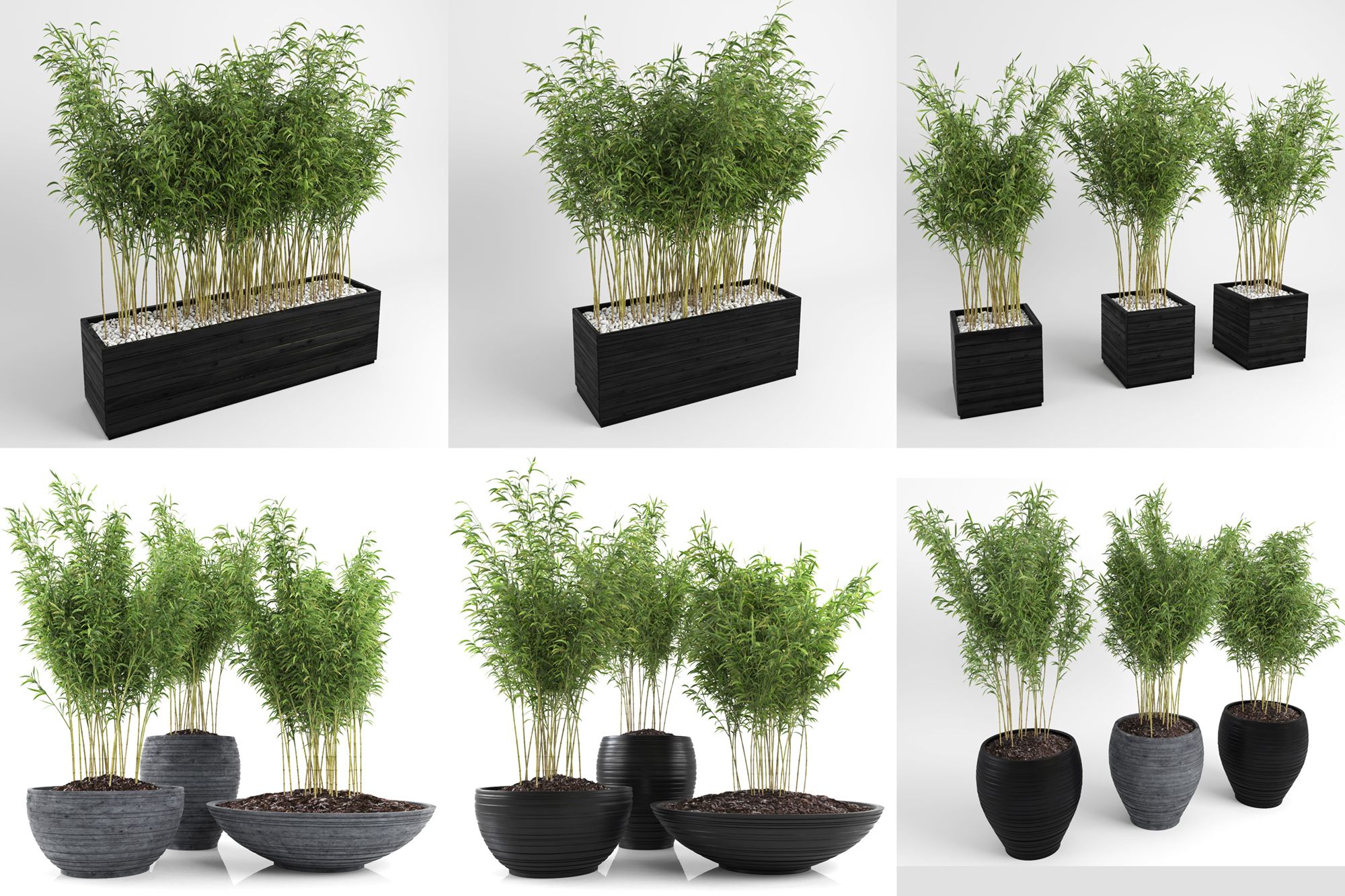 Ombrello Bamboos (+ GrowFX) royalty-free 3d model - Preview no. 2