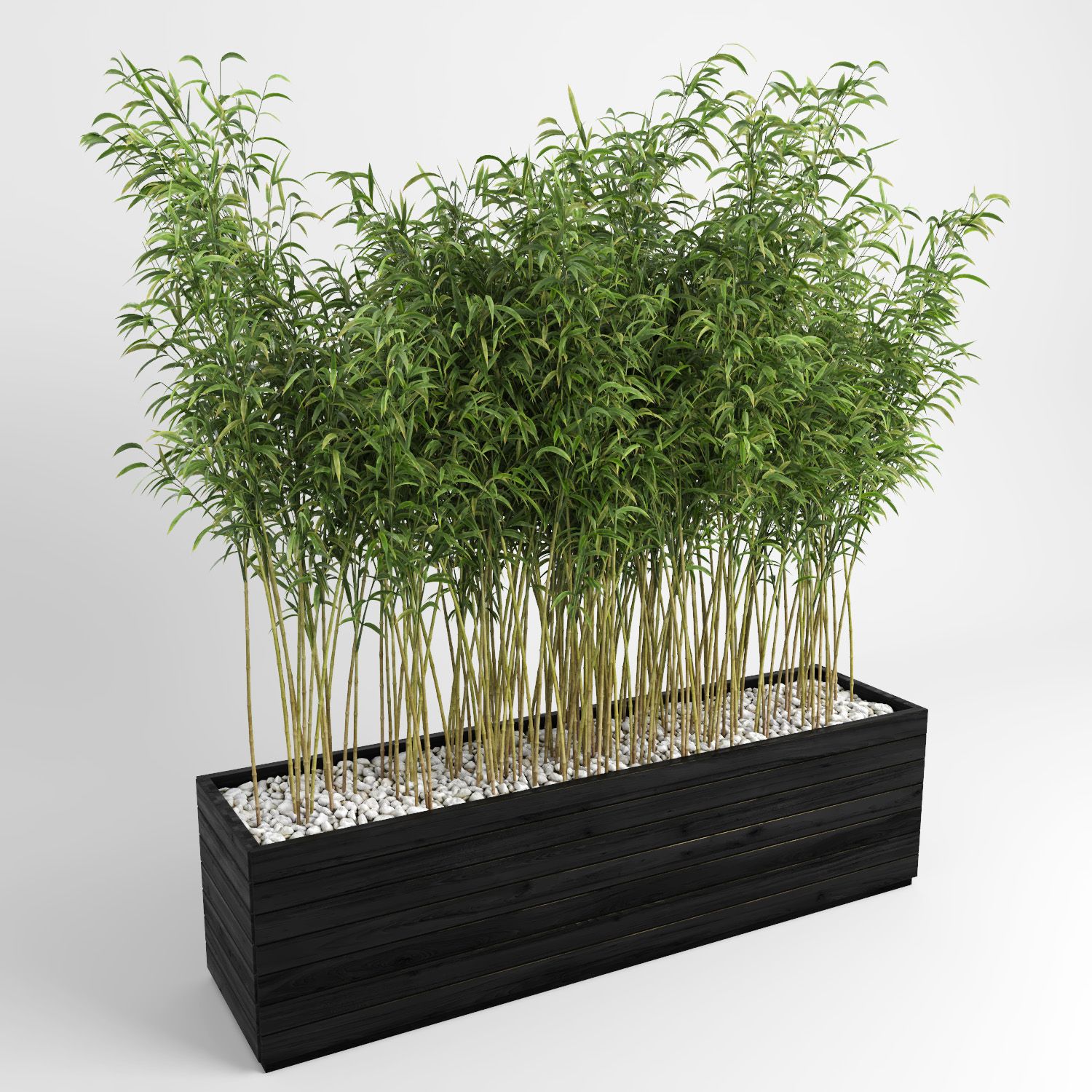 Ombrello Bamboos (+ GrowFX) royalty-free 3d model - Preview no. 3